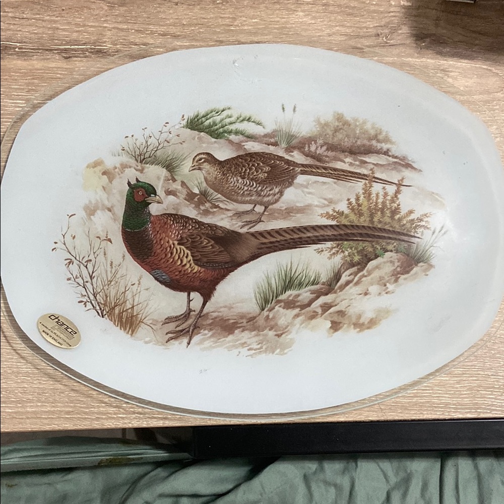 Vintage 1960 Pheasant Platter, Painted Glass, Made in England by Chance 13" x 9"
